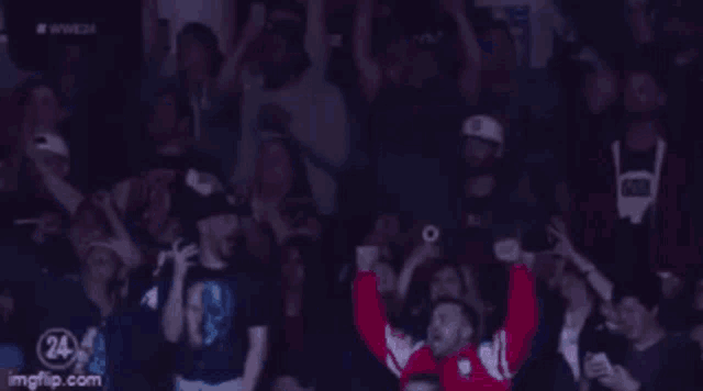 a crowd of people are standing in a stadium with their arms in the air and cheering .