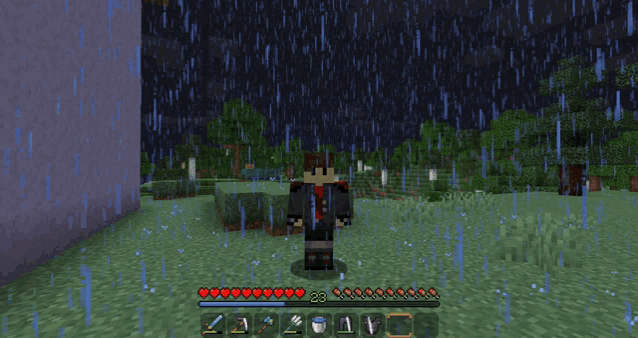 a person in a minecraft game is standing in the rain with the number 28 on their health bar
