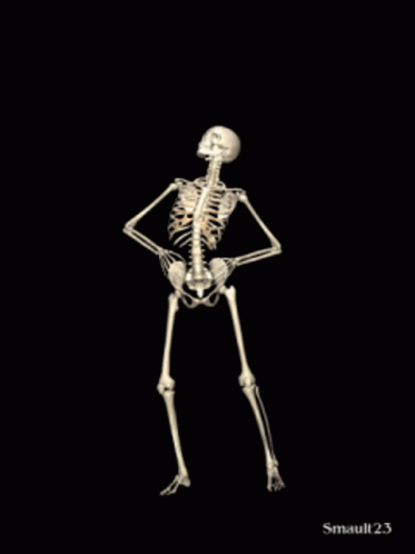 Skeleton Jig Skeleton GIF - Skeleton Jig Skeleton Skeleton Dance GIFs