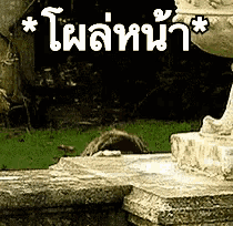 a picture of a statue in a park with a foreign language written on it