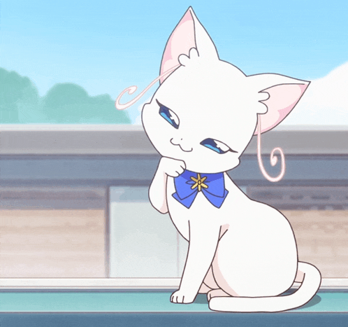 a white cat with a blue flower on its neck