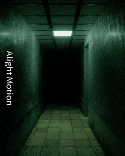a person holding a weapon in a dark hallway with the words " alight motion " below them