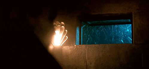 a person holding a light in front of a blue window