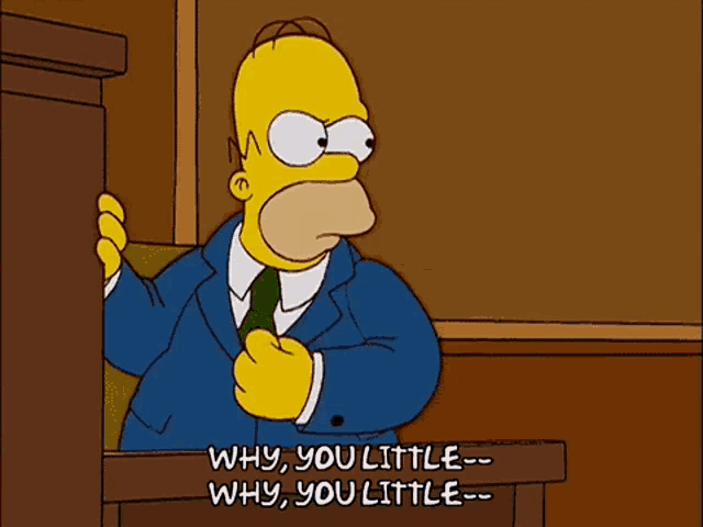 Homer Simpsons GIF - Homer Simpsons Why GIFs