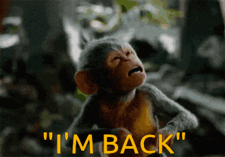 a monkey says " i 'm back " while looking up at the sky