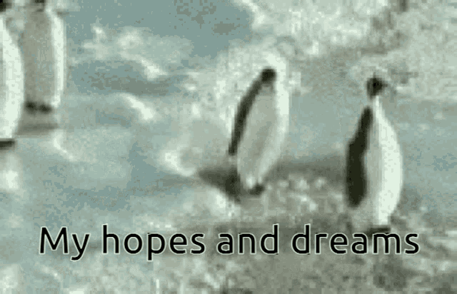 My Hopes And Dreams Dreams GIF - My Hopes And Dreams Dreams Hope GIFs