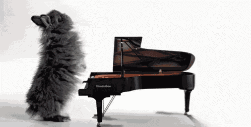a small animal standing next to a grand piano that says steinway & sons