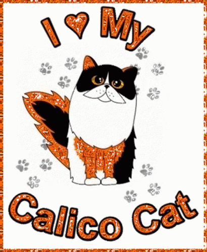 Calico Cat GIF - Calico Cat Thankful For You GIFs