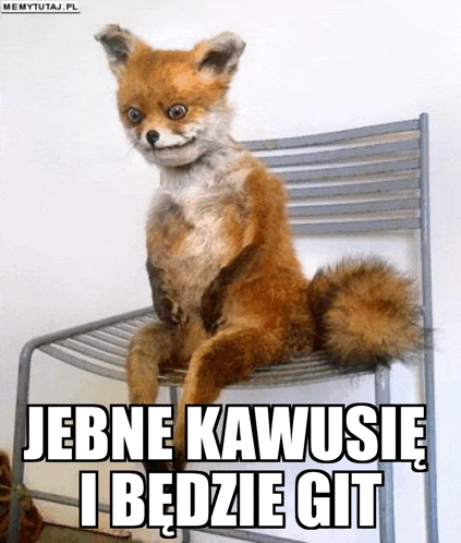 a stuffed fox is sitting on a chair with the caption " jebene kawsie i bedzie git "