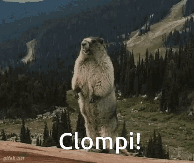 a groundhog standing on its hind legs with the word clompi written on it