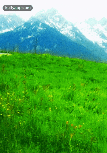 a picture of a green field with mountains in the background and the website kuifyapp.com