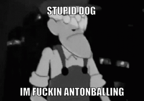 Antonball Stupid Dog GIF - Antonball Stupid Dog Im Fucking Antonballing GIFs