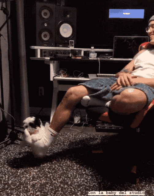 Lenny Tavarez Puppy GIF - Lenny Tavarez Puppy Baby GIFs