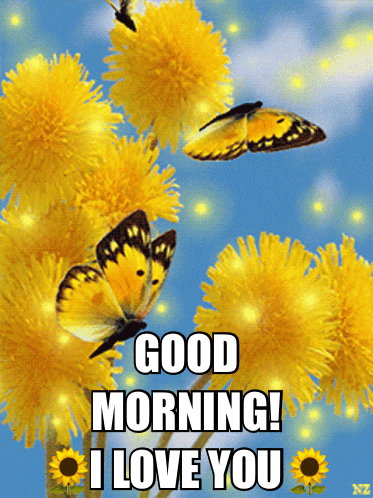 a greeting card with yellow flowers and butterflies that says " good morning i love you "