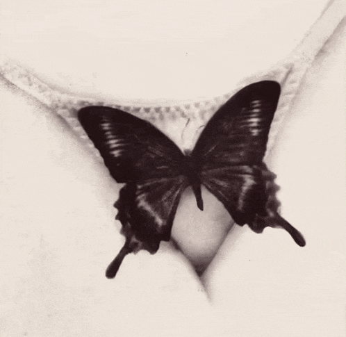 a butterfly is sitting on a woman 's underwear .