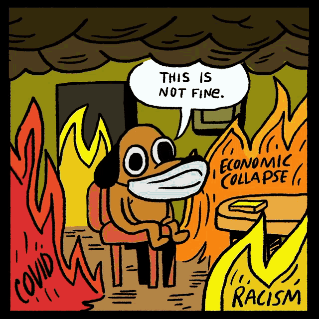 This Is Not Fine Meme Everything Is Fine GIF - This Is Not Fine Meme Everything Is Fine This Is Not Fine Dog GIFs