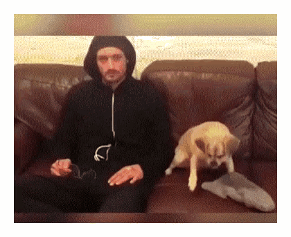 a man in a hoodie is sitting on a couch with a dog .