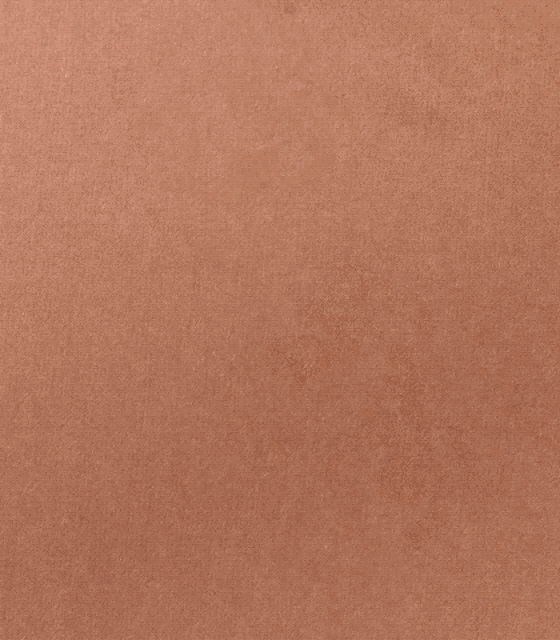 Grain Chicken GIF