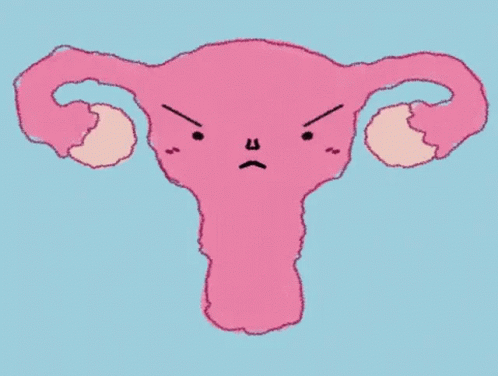 Angry Uterus Womb GIF - Angry Uterus Womb Uterus GIFs