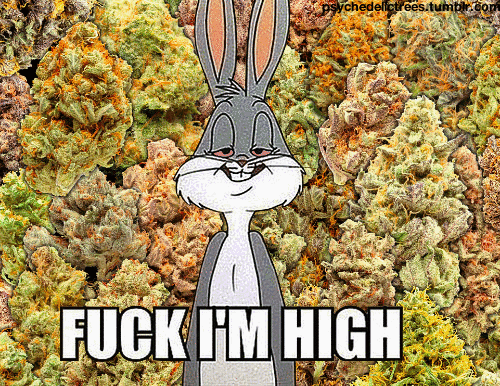 bugs bunny says fuck i 'm high in front of a bunch of marijuana