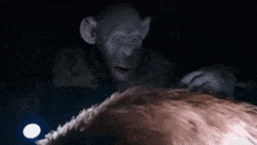 a monkey is standing next to a person in a dark room with a flashlight .