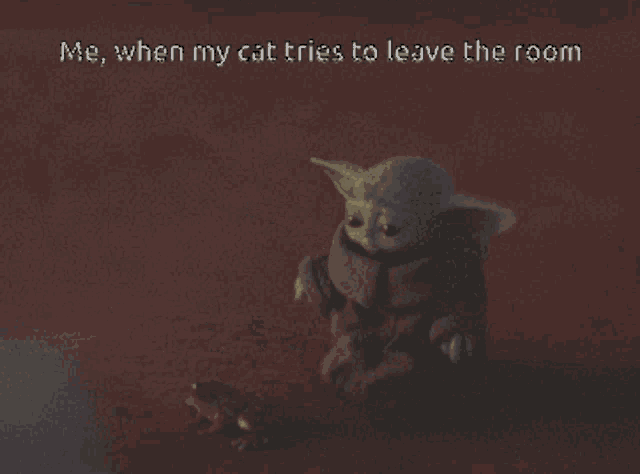 a picture of a baby yoda with a caption that says me when my cat tries to leave the room