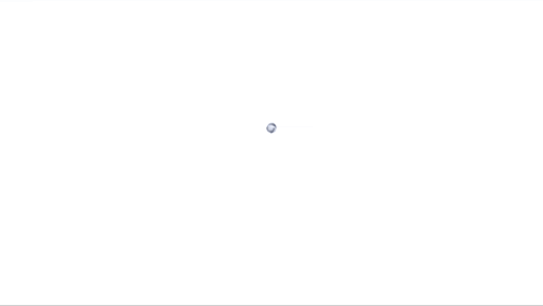a record logo on a white background with a silver ball in the center