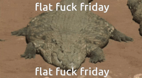 Flat Fuck Friday Flat GIF - Flat Fuck Friday Flat Friday GIFs