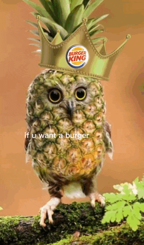 a pineapple owl with a burger king crown on it