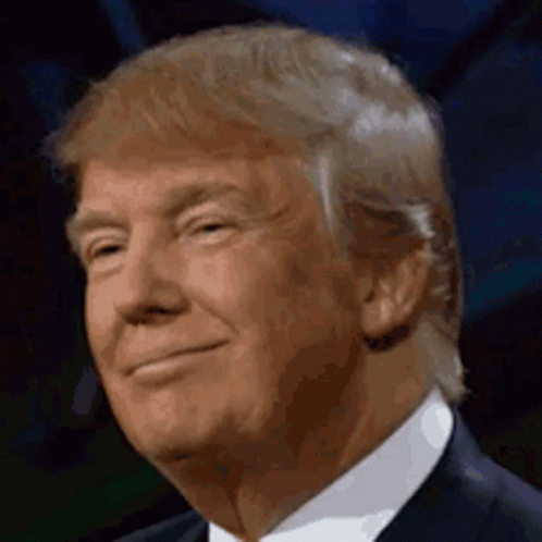Donald Trump Wink GIF - Donald Trump Wink Smile GIFs