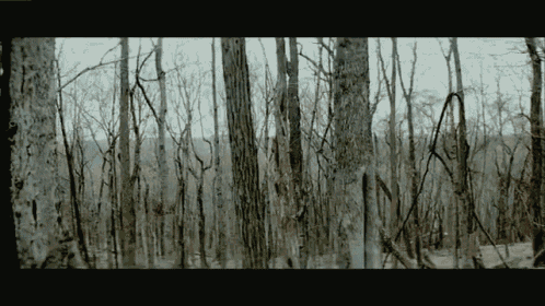 Safe And Sound  GIF - Taylor Swift GIFs