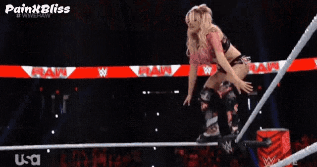 a wrestling match is being broadcast on usa