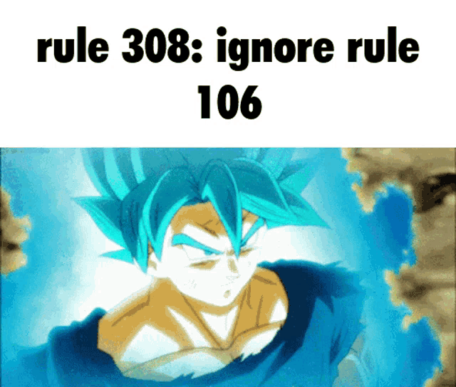 a picture of a cartoon character with the words rule 308 ignore rule 106 on the bottom