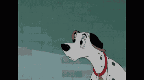 a dalmatian dog wearing a red collar and a tag is looking at something .
