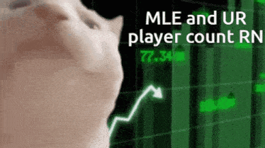 a cat is looking at a graph with the words `` mle and ur player count rn '' written on it .