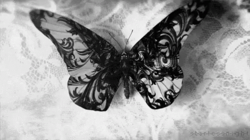 Occult Butterfly GIF - Occult Butterfly Gothic GIFs