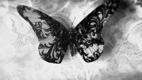a black and white photo of a lace butterfly on a white background
