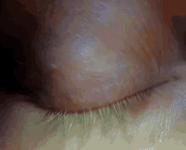 a close up of a person 's eye with a very long eyelash