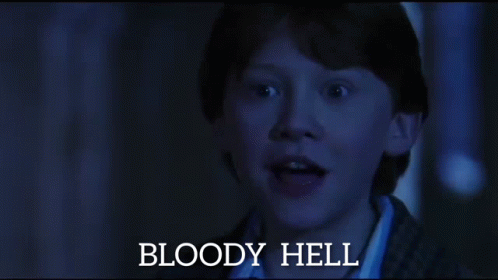 Ron Bloody Hell GIF - Ron Bloody Hell What The Hell GIFs