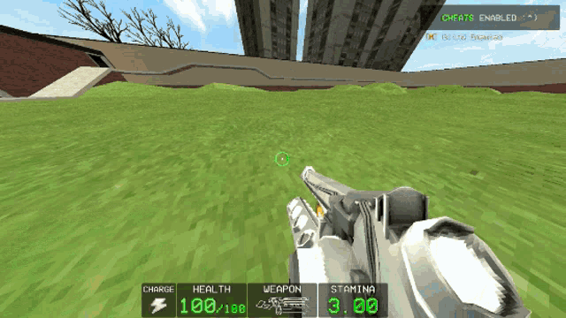 a screenshot of a video game with cheats enabled on the bottom