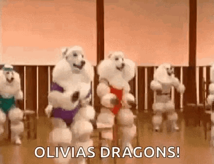 a group of poodles are dancing in a gym and they are wearing swimsuits .