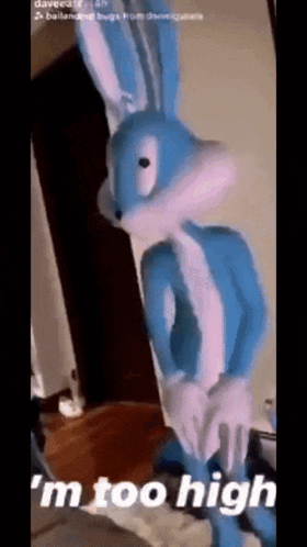 a stuffed bunny is standing in a room and says i 'm too high .
