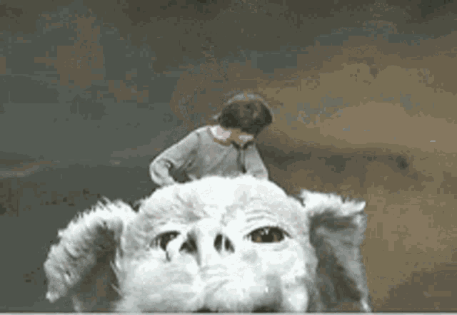 a man is riding on the back of a white monster