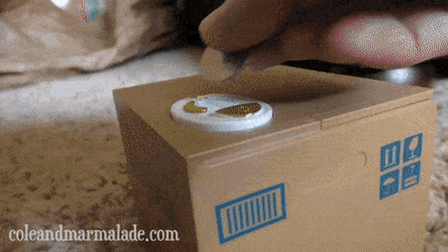 Cat Surprised GIF - Cat Surprised Take Coin GIFs
