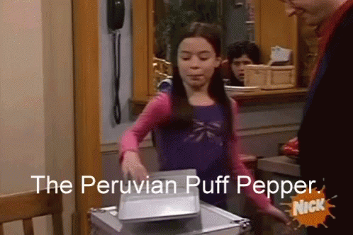 Drake And Josh Peruvian GIF - Drake And Josh Peruvian Peruvian Puff Pepper GIFs