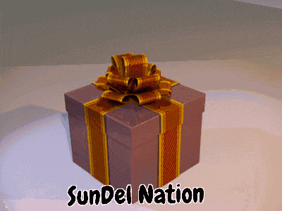 a sundel nation gift box with a bow