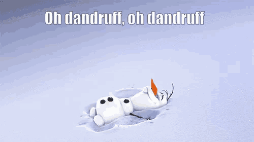 a picture of a snowman with the words oh dandruff oh dandruff