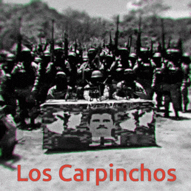 Carpinchos GIF - Carpinchos GIFs
