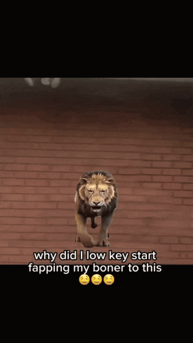 a picture of a lion with the caption why did i low key start fapping my boner
