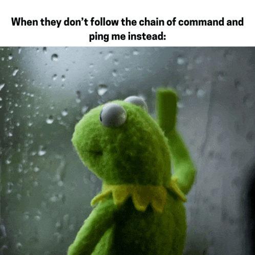 kermit the frog is looking out a window with rain drops